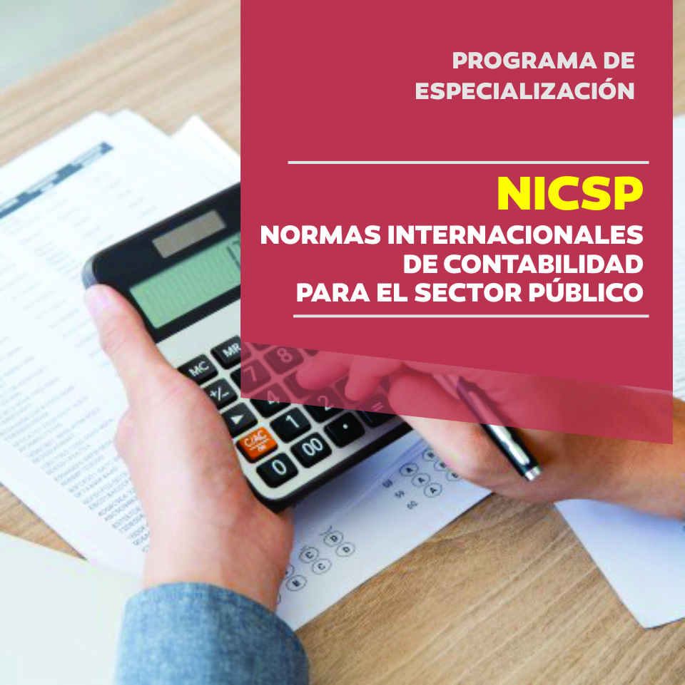 Normas Internacionales de Contabilidad para el Sector Público - NICSP